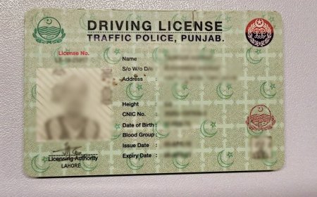 How to Apply for an Online Learner License in Punjab