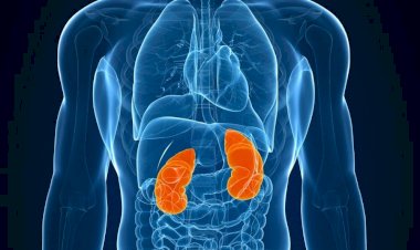 World Kidney Day: CHRONIC KIDNEY DISEASE